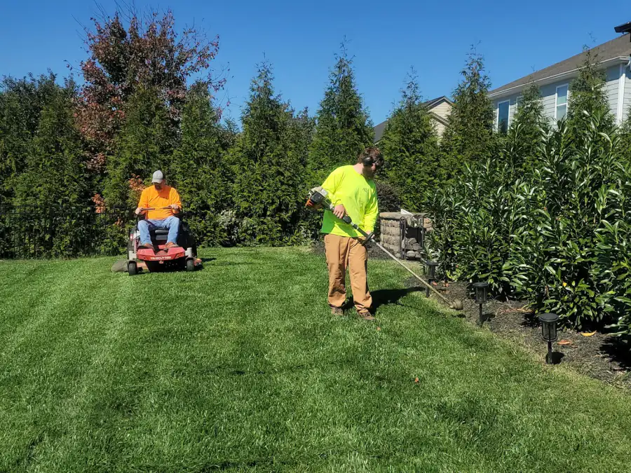 lawn care on a real job