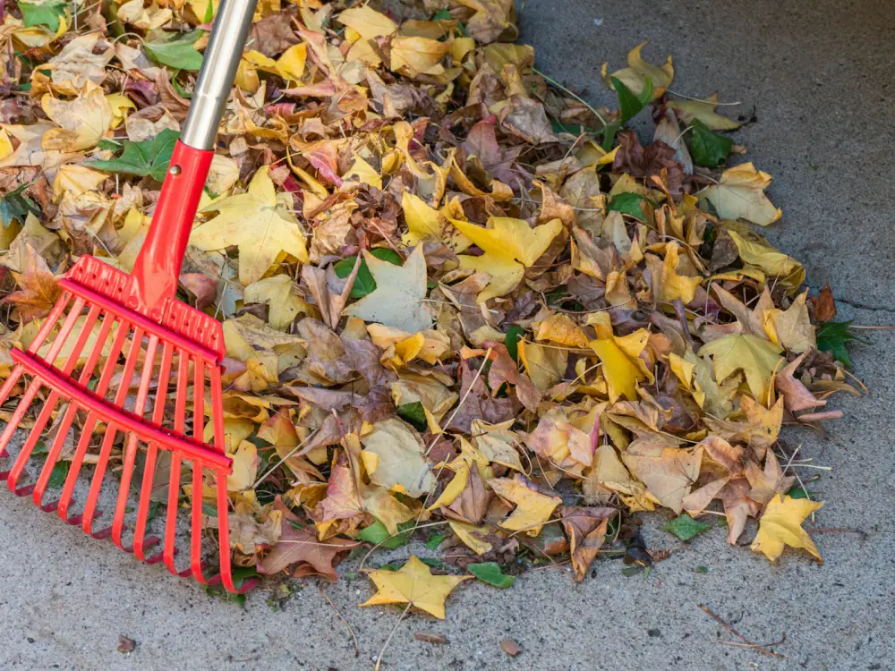 fall property care