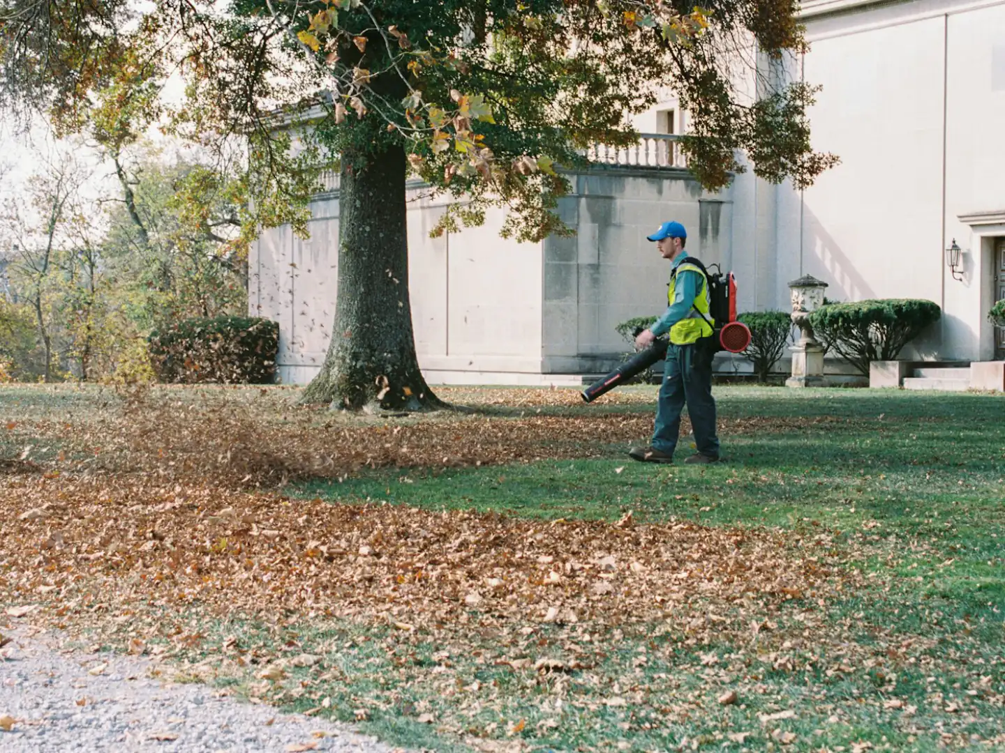 seasonal cleanup in Evansville